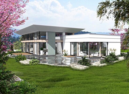 vizualizace rodinného domu - architektura