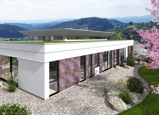 vizualizace rodinného domu - architektura