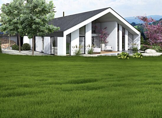 vizualizace rodinného domu - architektura