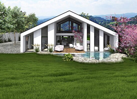 vizualizace rodinného domu - architektura